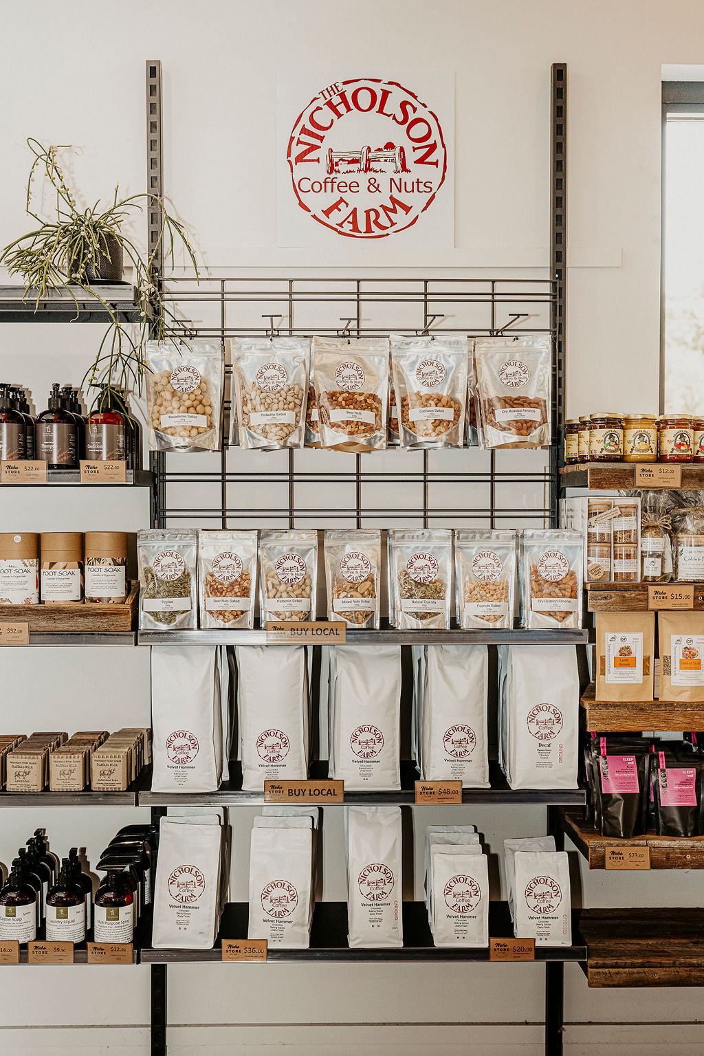 Salted Macadamias - The Nicholson Farm