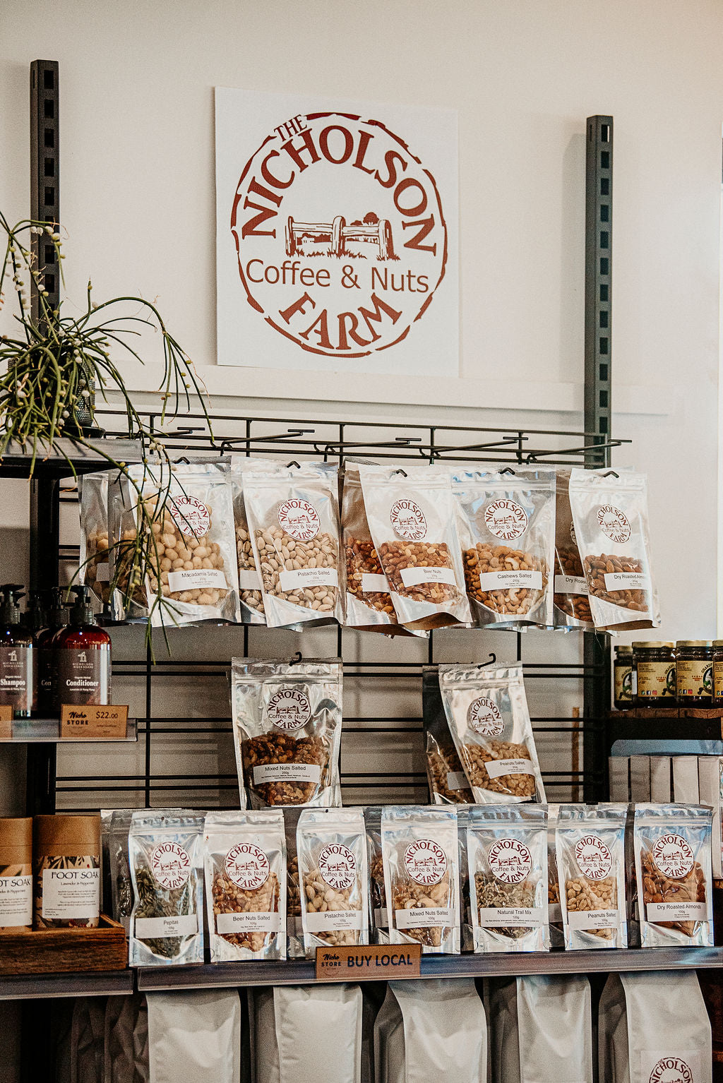 Salted Macadamias - The Nicholson Farm