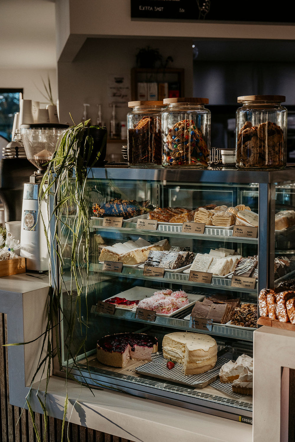 About Us – Nicho Store